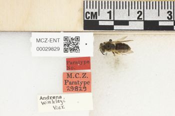 Media type: image;   Entomology 29829 Aspect: Labels